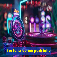 fortuna do mc pedrinho