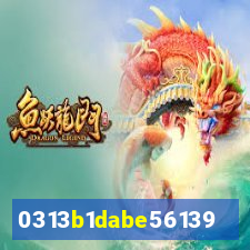 qin2023