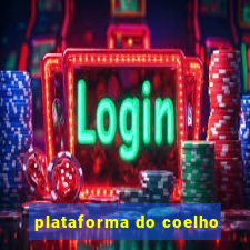 plataforma do coelho