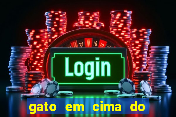 gato em cima do telhado significado espiritual
