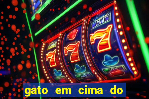 gato em cima do telhado significado espiritual