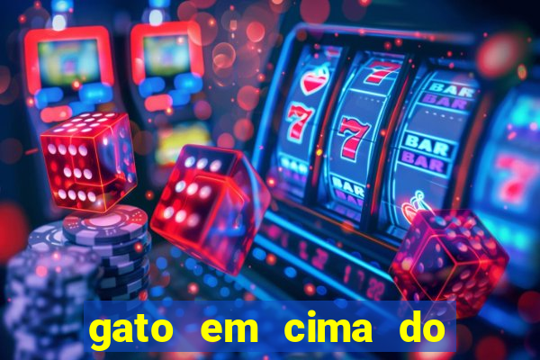 gato em cima do telhado significado espiritual