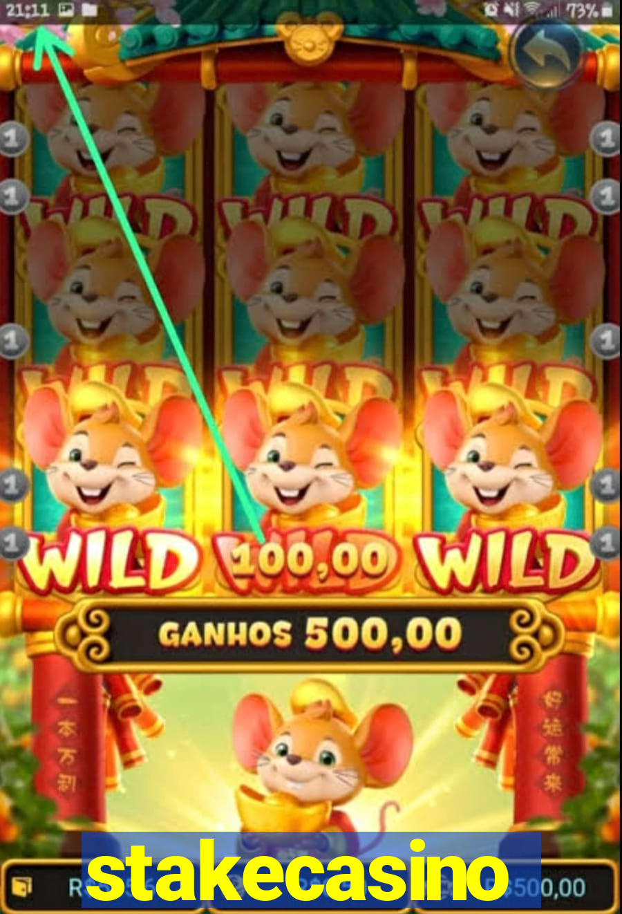 stakecasino