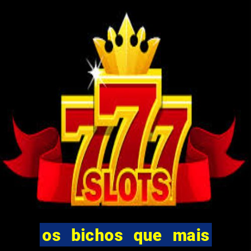 os bichos que mais saem na loteria federal