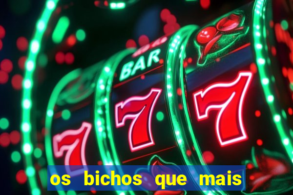 os bichos que mais saem na loteria federal