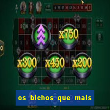 os bichos que mais saem na loteria federal