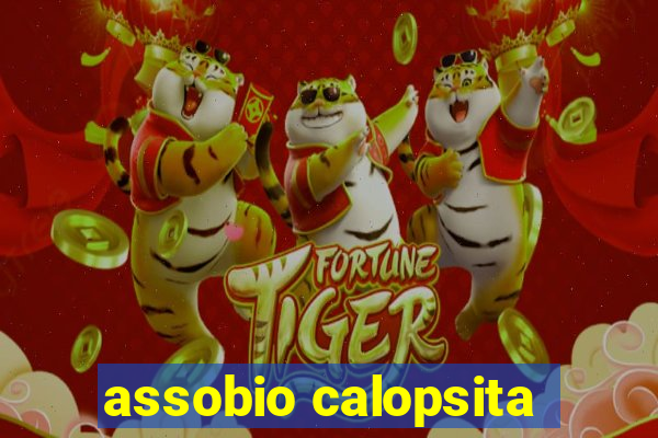 assobio calopsita