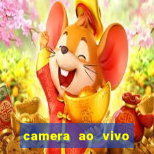 camera ao vivo beto carrero