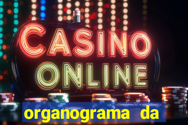 organograma da cacau show