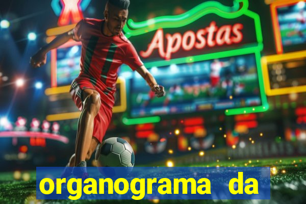 organograma da cacau show