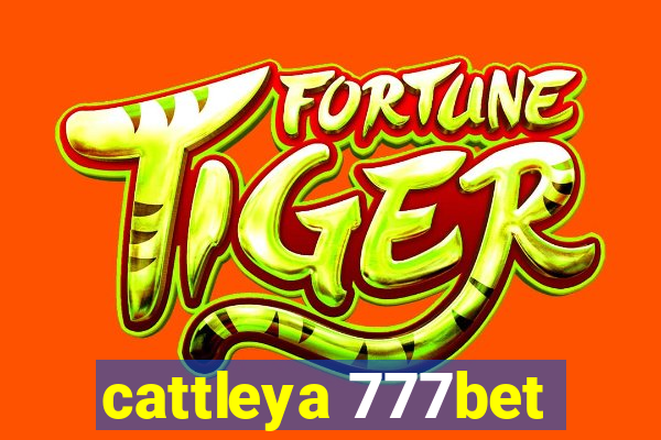 cattleya 777bet