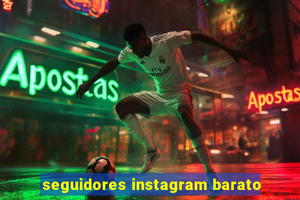 seguidores instagram barato