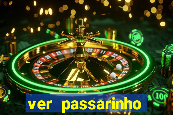 ver passarinho morto significado