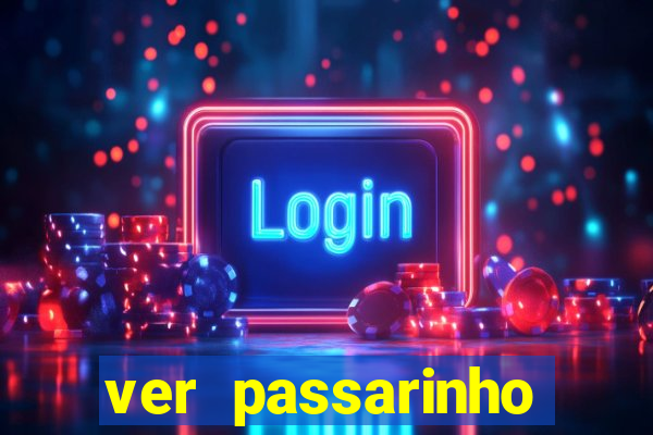 ver passarinho morto significado