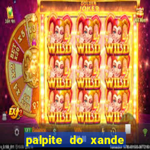 palpite do xande de hoje