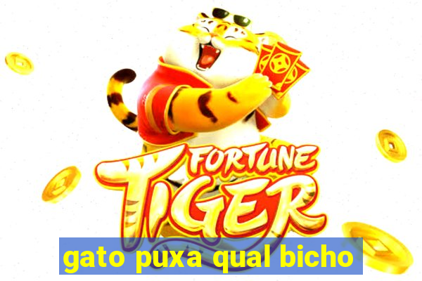 gato puxa qual bicho