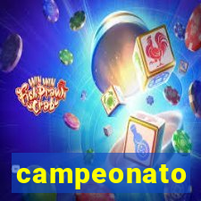 campeonato brasileiro standings