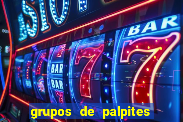 grupos de palpites de futebol whatsapp