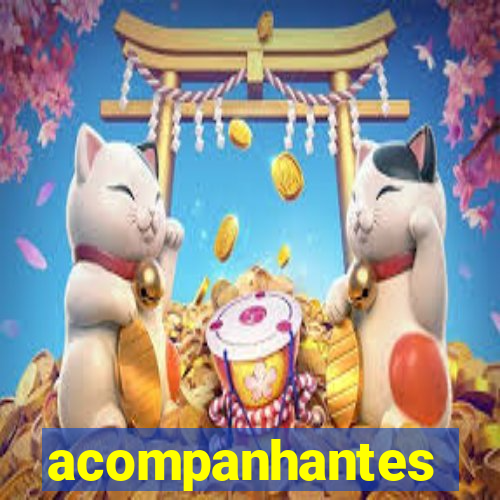 acompanhantes travestis bh
