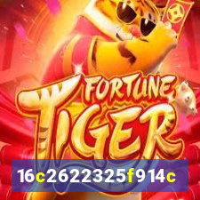 559bet.