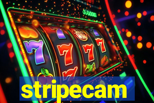 stripecam