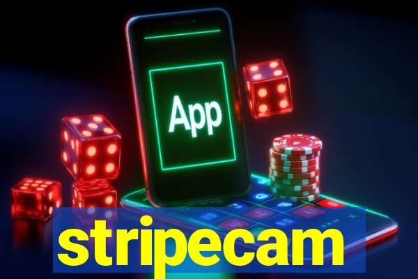stripecam