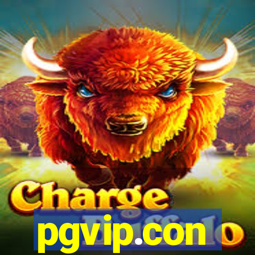 pgvip.con