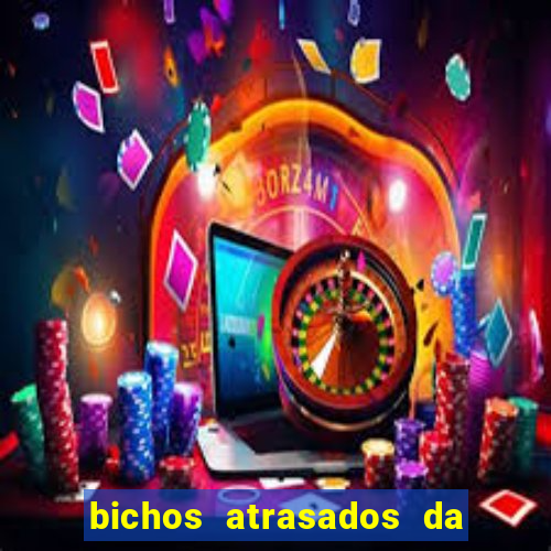 bichos atrasados da loteria federal