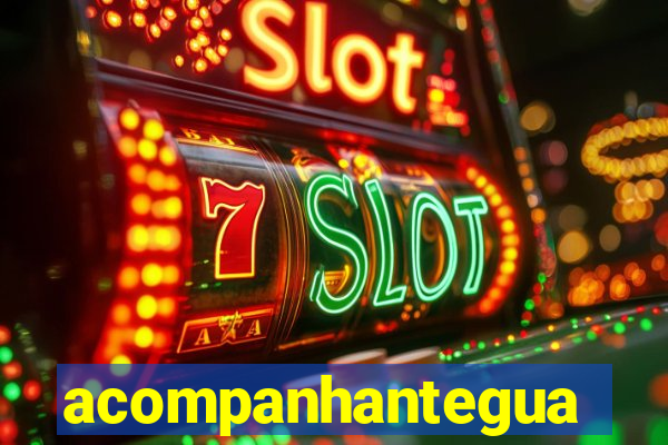 acompanhanteguanambi