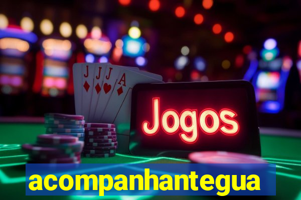 acompanhanteguanambi