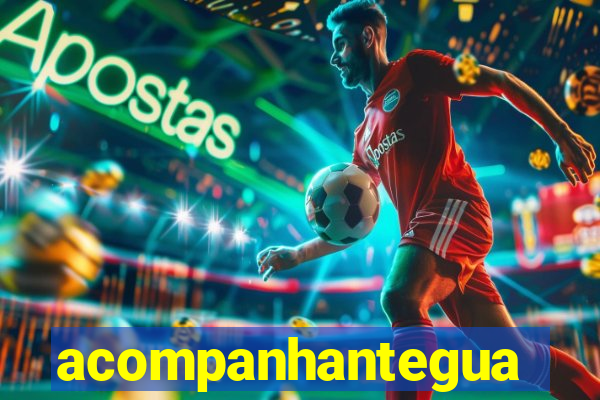acompanhanteguanambi