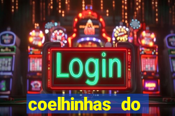 coelhinhas do brasil acompanhantes