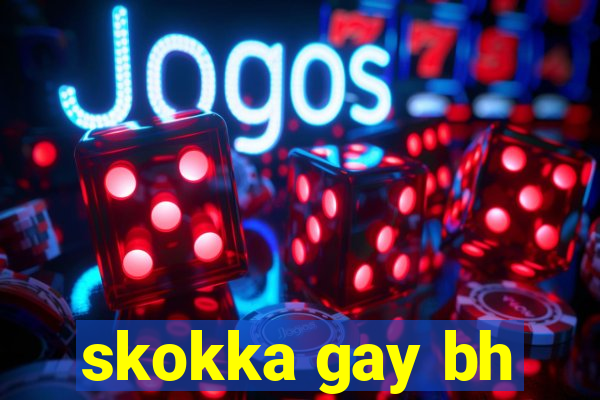 skokka gay bh