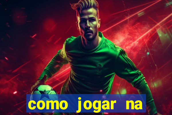 como jogar na lotinha do jogo do bicho