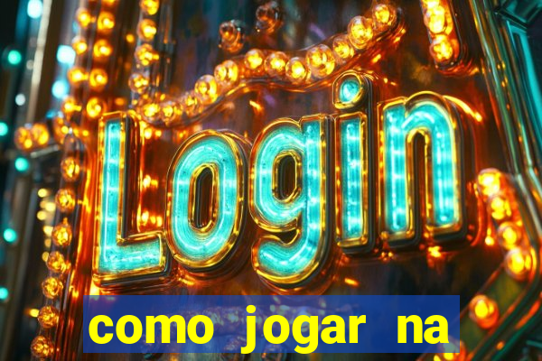 como jogar na lotinha do jogo do bicho