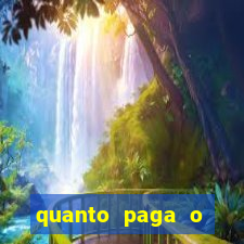 quanto paga o jungle fight