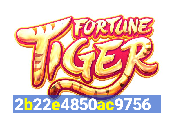 cassino online 81bet
