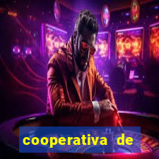 cooperativa de energia solar minas gerais