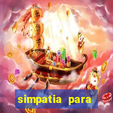 simpatia para ganhar na loteria com folha de louro