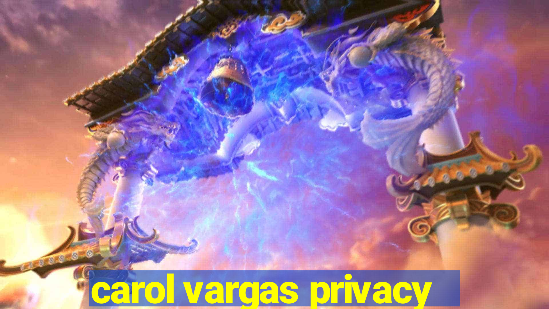 carol vargas privacy