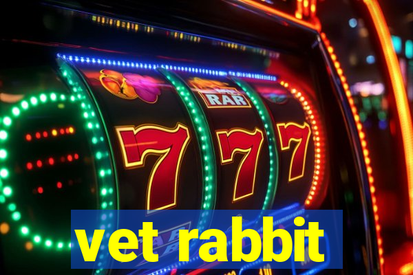 vet rabbit