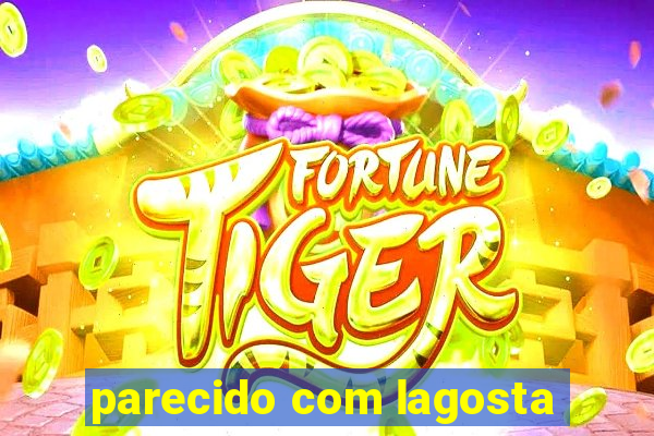 parecido com lagosta