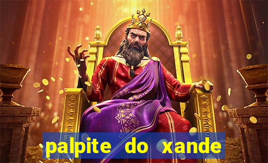 palpite do xande para hoje