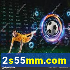 2s55mm.com