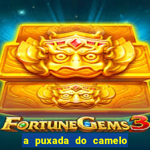 a puxada do camelo no jogo do bicho
