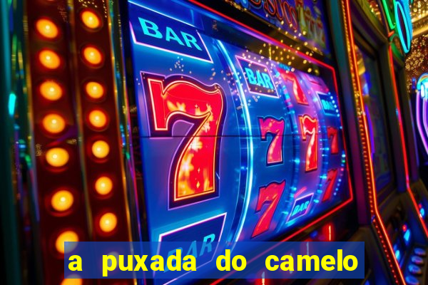 a puxada do camelo no jogo do bicho