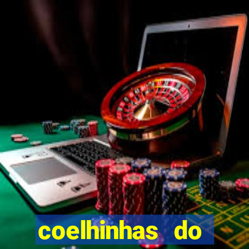 coelhinhas do brasil jp