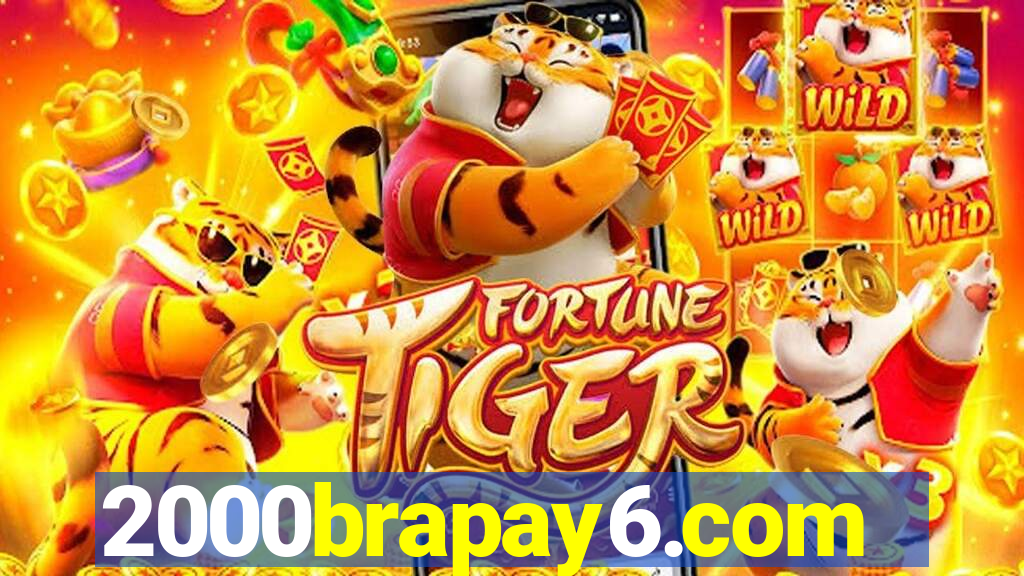 2000brapay6.com