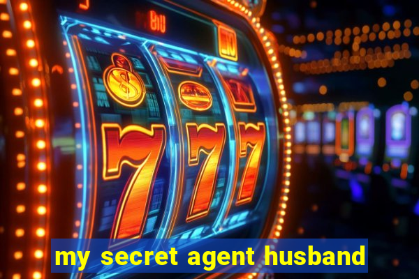 my secret agent husband