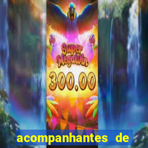 acompanhantes de luxo sc